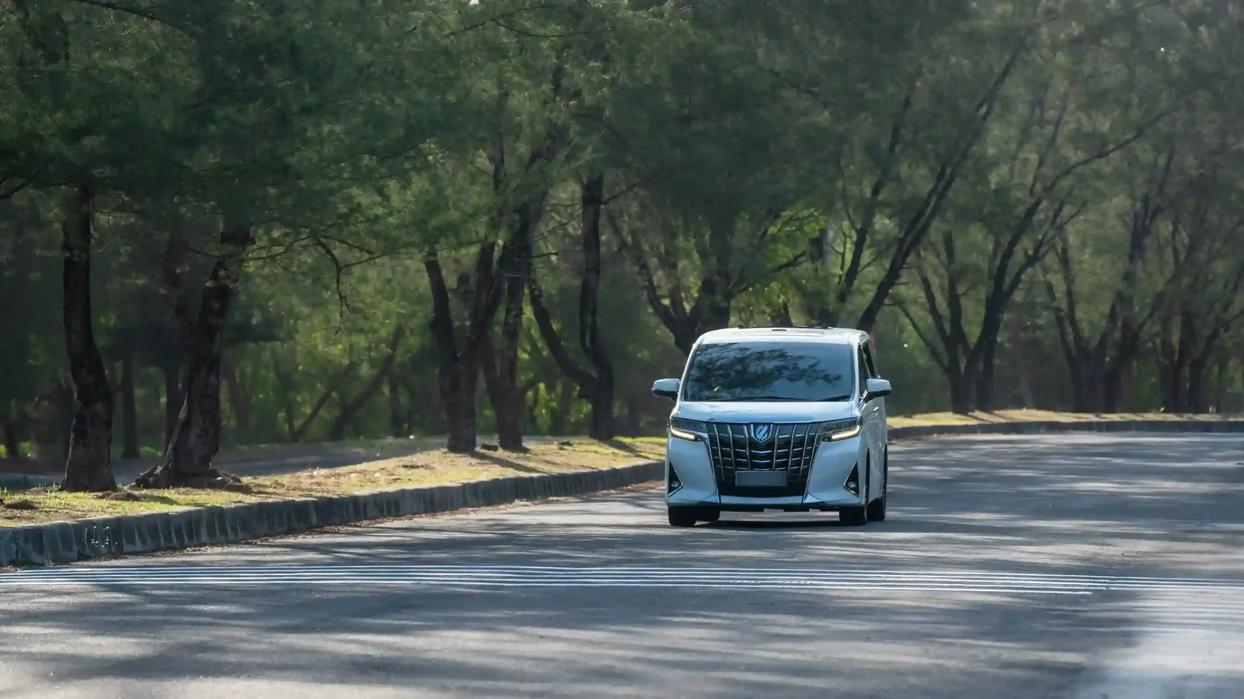 Black Toyota Alphard photographed head-on at a villa gate